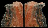Tall, Colorful, Arizona Petrified Wood Bookends #65966-1